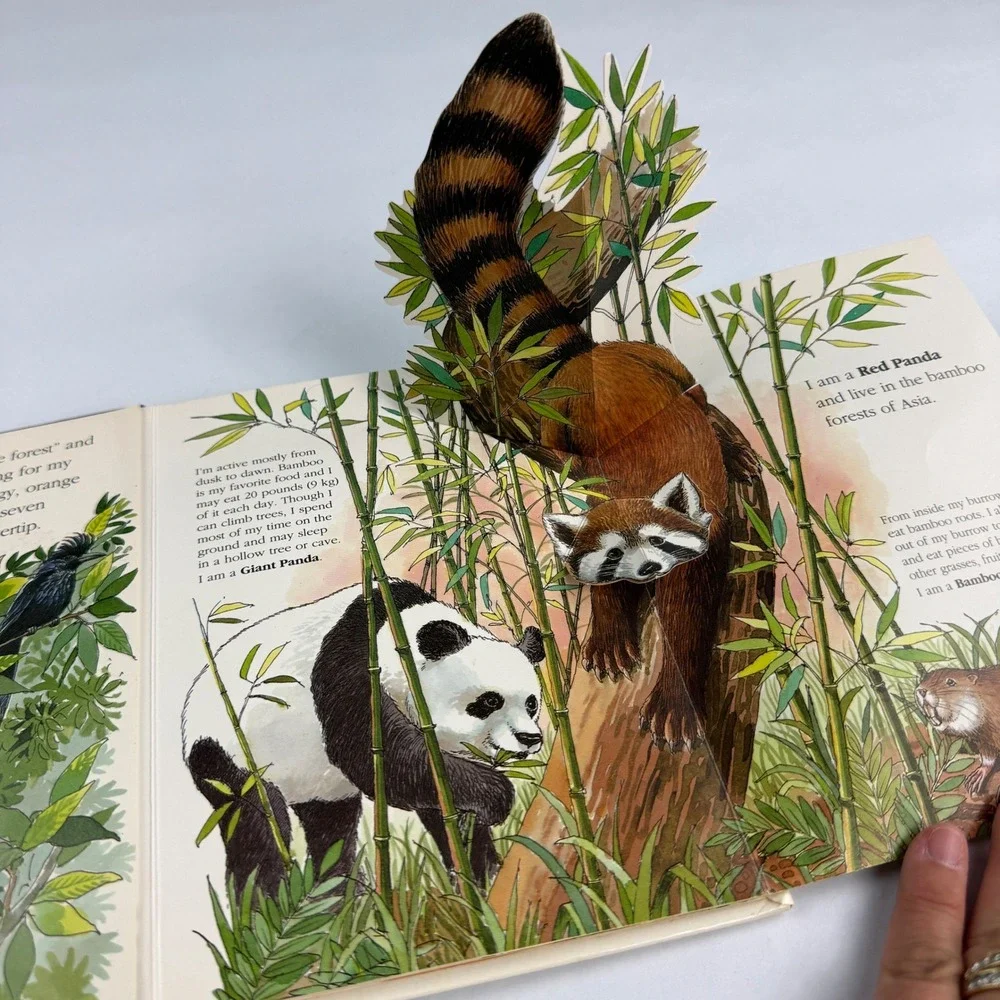 Scholastic wild animal